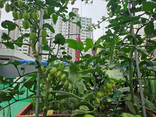 대구 김수영님의 자유주제 · 자유게시판 작성글 사진