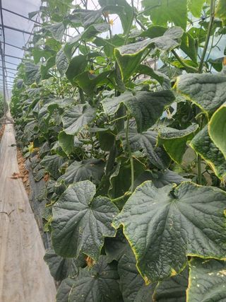 김둘점님의 작성글 사진