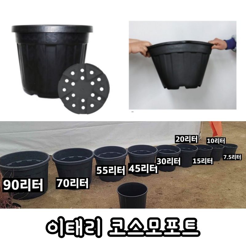 장터 상품 [블루베리 화분 90리터] 썸네일
