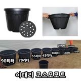 팜모닝 · 게시글 이미지