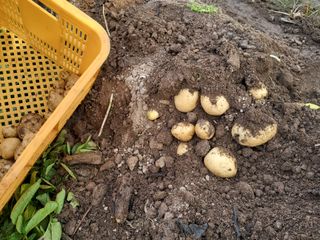 명한님의 자유주제 · 자유게시판 작성글 사진