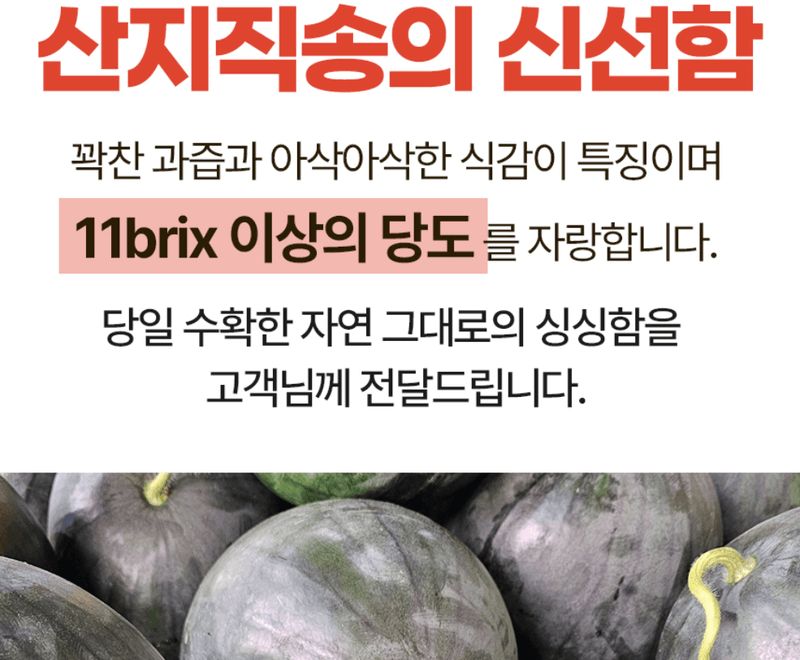 스피드번님의 장터 판매 상품 [고당도 흑수박] 첨부 사진