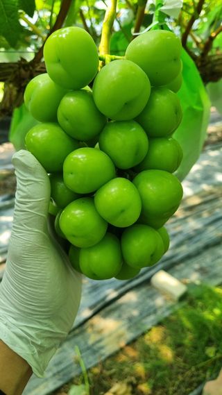 김은수님의 자유주제 · 사진전 작성글 사진