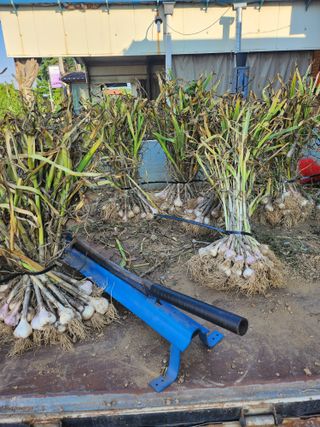 콩8087님의 자유주제 · 자유게시판 작성글 사진