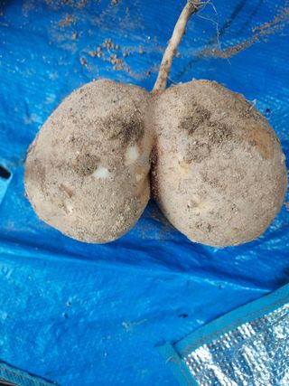 최승동님의 자유주제 · 자유게시판 작성글 사진