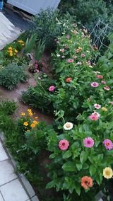 팜모닝 자유주제·자유게시판 게시글 이미지