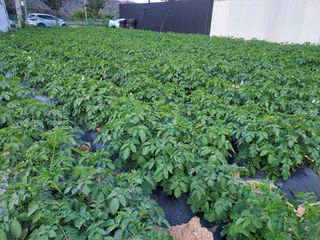 최승동님의 자유주제 · 자유게시판 작성글 사진