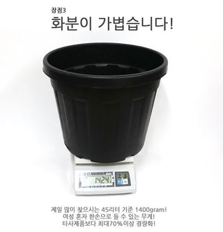 이선미님의 작성글 사진