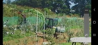 황금알대박농원!님의 자유주제 · 사진전 작성글 사진