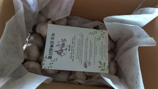 김여사시골살이님의 자유주제 · 자유게시판 작성글 사진