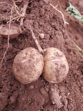 최승동님의 자유주제 · 자유게시판 작성글 사진