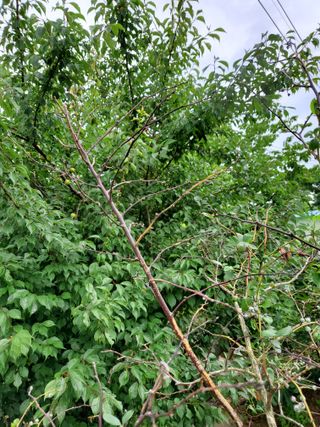 김희영님의 자유주제 · 자유게시판 작성글 사진