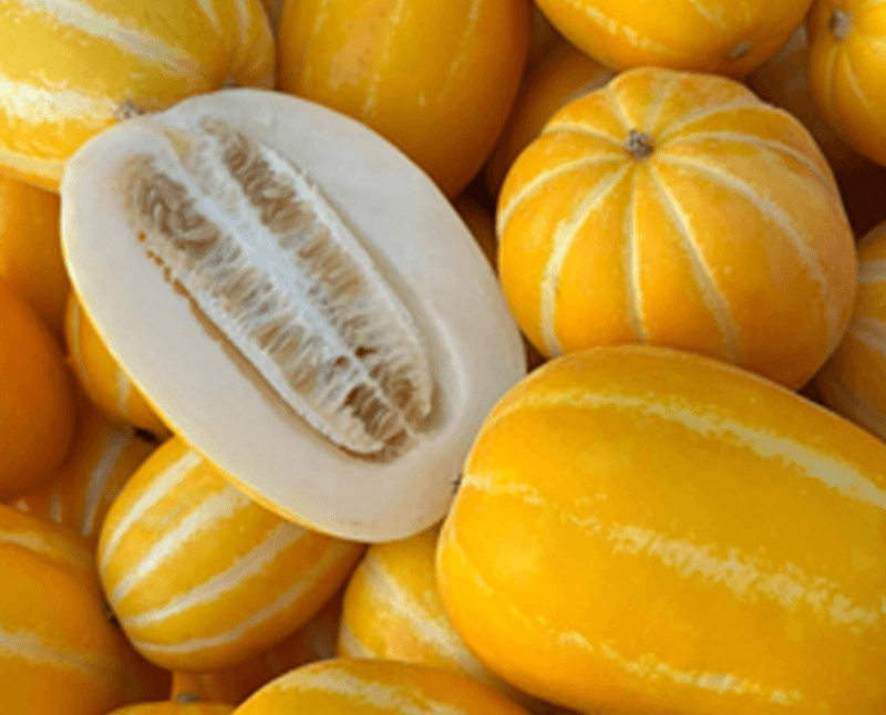 스피드번님의 장터 판매 상품 [[GAP] 성주 꿀참외] 첨부 사진