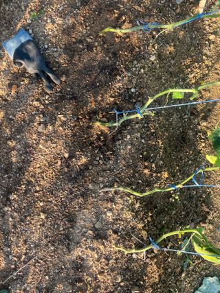 정의현님의 자유주제 · 자유게시판 작성글 사진