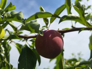 이원희님의 자유주제 · 자유게시판 작성글 사진