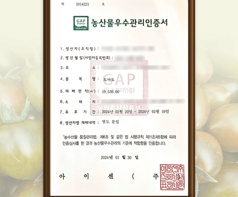 메종루엘님의 장터 판매 상품 [대저 대추방울토마토 ] 첨부 사진