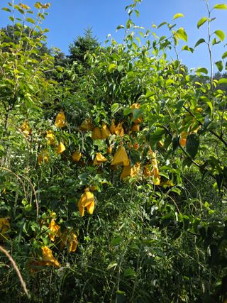 이원복님의 자유주제 · 사진전 작성글 사진