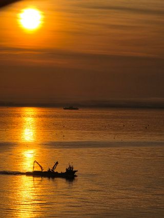 황철환님의 자유주제 · 자유게시판 작성글 사진