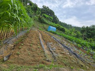 동동이님의 자유주제 · 자유게시판 작성글 사진