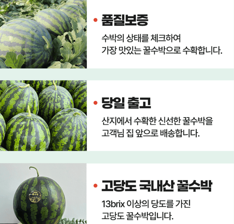 스피드번님의 장터 판매 상품 [(특가) 가정용 수박] 첨부 사진