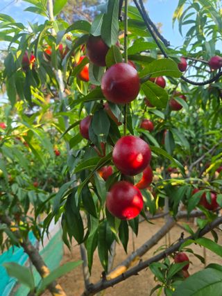 자연인님의 자유주제 · 자유게시판 작성글 사진