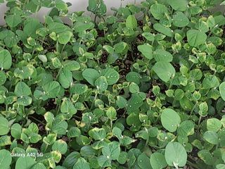 참깨11142님의 자유주제 · 자유게시판 작성글 사진