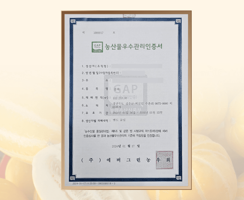 스피드번님의 장터 판매 상품 [[GAP] 성주 꿀참외] 첨부 사진