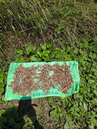 이원복님의 자유주제 · 사진전 작성글 사진