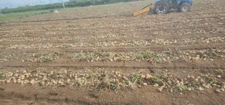 나으살던고향님의 자유주제 · 자유게시판 작성글 사진