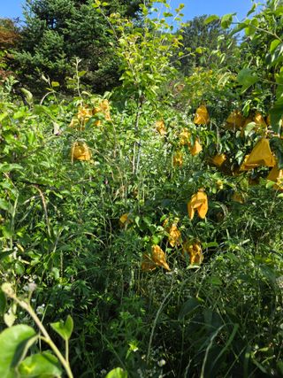 이원복님의 자유주제 · 사진전 작성글 사진