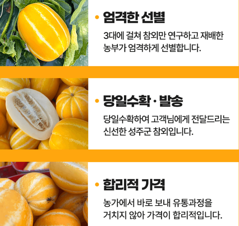 스피드번님의 장터 판매 상품 [[GAP] 성주 꿀참외] 첨부 사진