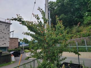 땅땅님의 자유주제 · 자유게시판 작성글 사진