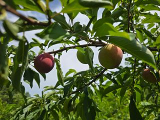 이원희님의 자유주제 · 자유게시판 작성글 사진