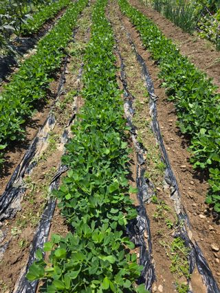 이원복님의 자유주제 · 사진전 작성글 사진