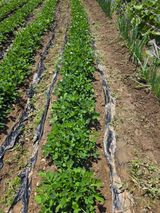 팜모닝 자유주제·사진전 게시글 이미지