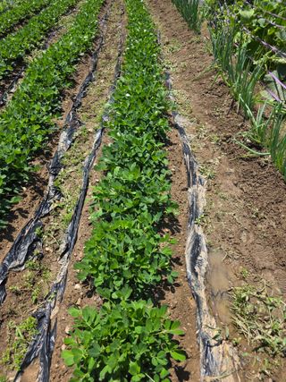 이원복님의 자유주제 · 사진전 작성글 사진