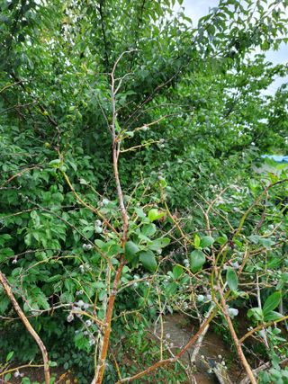 김희영님의 자유주제 · 자유게시판 작성글 사진