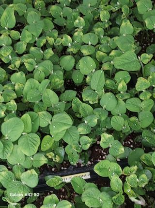 참깨11142님의 자유주제 · 자유게시판 작성글 사진