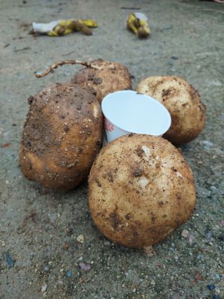 최승동님의 자유주제 · 자유게시판 작성글 사진