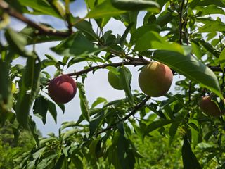 이원희님의 자유주제 · 자유게시판 작성글 사진