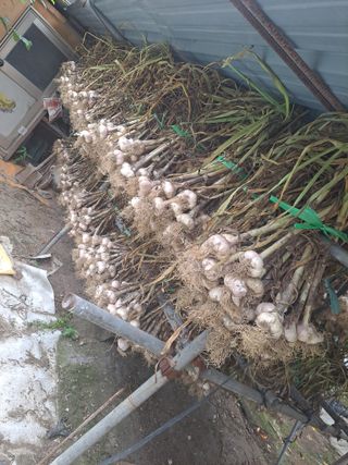 딱딱이~~님의 자유주제 · 자유게시판 작성글 사진