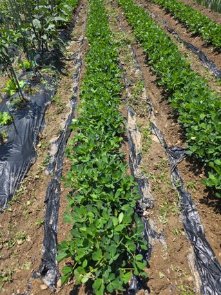 이원복님의 자유주제 · 사진전 작성글 사진