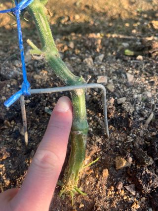 정의현님의 자유주제 · 자유게시판 작성글 사진