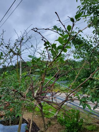 김희영님의 자유주제 · 자유게시판 작성글 사진