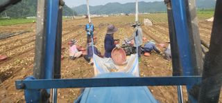 나으살던고향님의 자유주제 · 자유게시판 작성글 사진