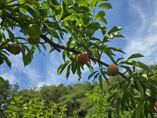이원희님의 자유주제 · 자유게시판 작성글 사진