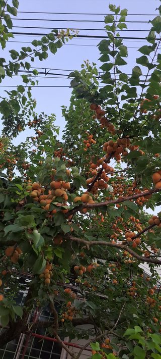 콩18930님의 자유주제 · 사진전 작성글 사진