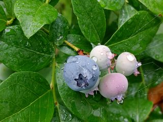 이현상님의 자유주제 · 자유게시판 작성글 사진