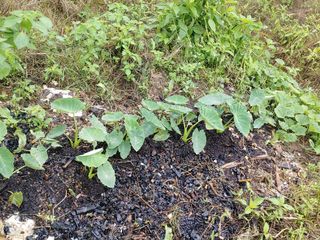 이현상님의 자유주제 · 자유게시판 작성글 사진