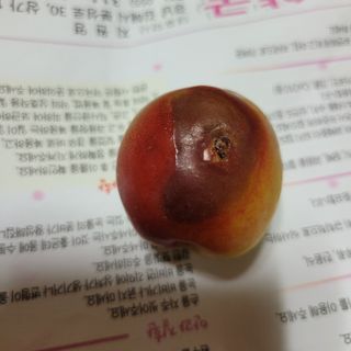 이창화님의 자유주제 · 자유게시판 작성글 사진